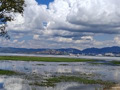 -洱海月湿地公园