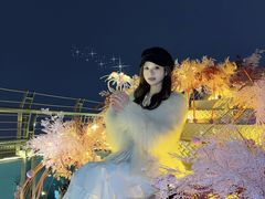 -WFC会仙楼观景台