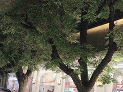 -红花点心局(护国寺店)