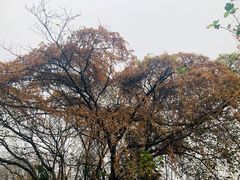 -庐山西海主景区