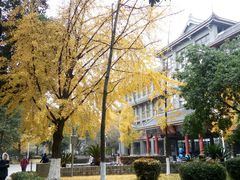 -四川大学(华西校区)