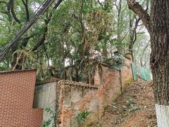 -马王堆汉墓遗址