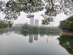 -宝岛公园
