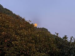 -杭州半山国家森林公园