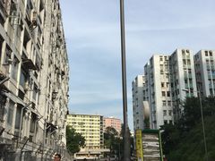 -彩虹村