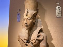 -上海博物馆(人民广场馆)