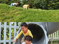 -前小桔亲子创意农场·草莓采摘·露营烧烤