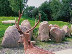 -北京野生动物园