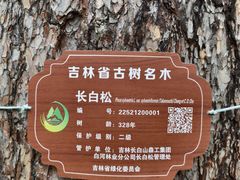 -美人松苑