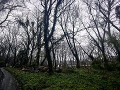 -西溪南古村落景区