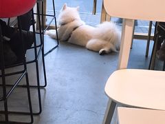 -KYO COFFEE(胶州路店)