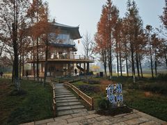 -长田漾湿地公园