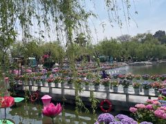 -中国翰园碑林