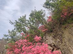 -木兰云雾山
