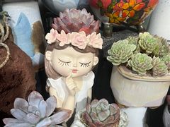 -桂林市花鸟市场