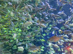 -成都浩海立方海洋公园