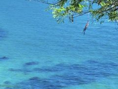-玫瑰海岸文化旅游度假区