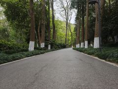 -赭山公园