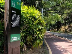 -梧桐山风景名胜区