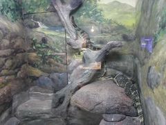 -福州罗源湾海洋世界旅游区