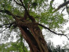 -福清灵石山国家森林公园