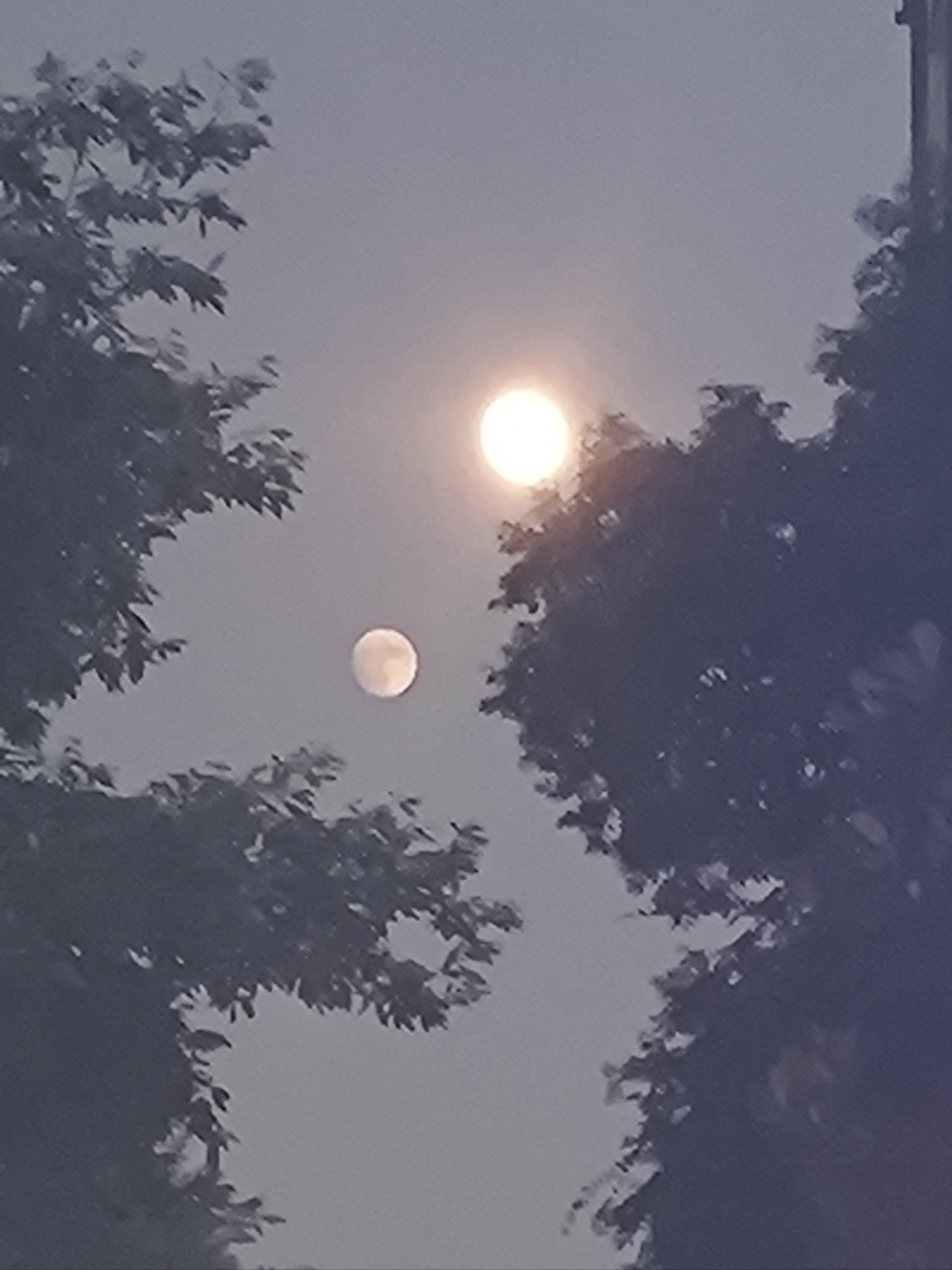 夜空下的月亮话～,今天月亮圆又圆,十五的月亮