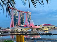 -新加坡文华东方酒店