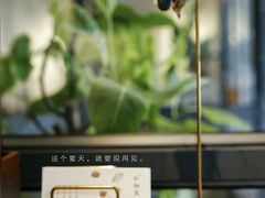 洛神玫瑰花茶-朴物良社(东明锦园店)