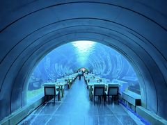 -海棠湾洲际-涛·海底餐厅·美人鱼·自助餐·海底隧道