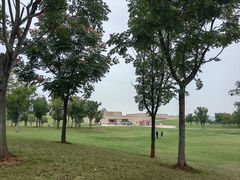 -盘龙城国家考古遗址公园