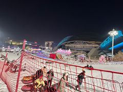 -沈阳奥体冰雪嘉年华