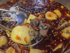 -黑竹香鸡(营和巷店)