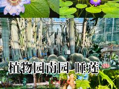 -国家植物园南园