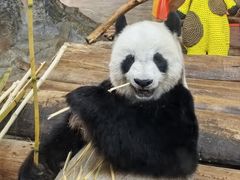 -海南热带野生动植物园