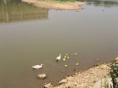 -大连外国语大学(旅顺校区)