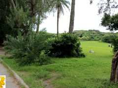 -鹅銮鼻公园