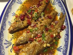 -鑫农家大院(余家头店)