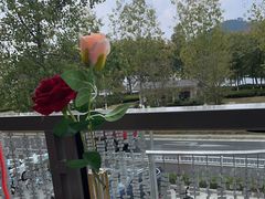 -宝荣鱼馆·临湖之宴(千岛湖店)