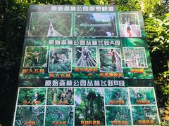 -西双版纳原始森林公园
