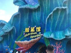-珠海长隆海洋王国