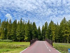 -黄海国家森林公园
