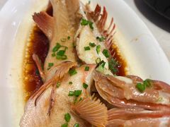 -阿毛饭店首店·宁波老字号(文化广场店)