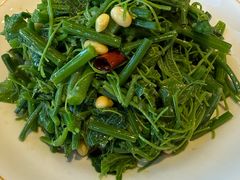 丝瓜尖拌豆芽-巴依老爷新疆美食(工体旗舰店)