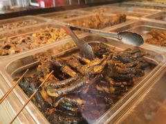 -老号尤兔头(幸福店)