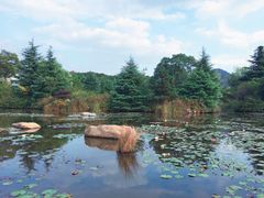-白马涧龙池景区