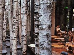 -Metal hands·铁手咖啡