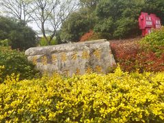 -吴氏宅第(吴道台府)