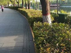 -西安汉城湖景区