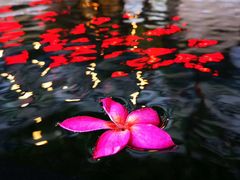 -厦门日月谷温泉渡假村