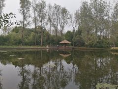 -溱湖国家湿地公园